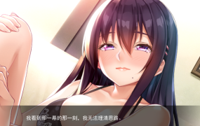 [ADV机翻]停下来!姐姐!我要射了!Stop it!Onee Chan!! V1.1[电脑2G]