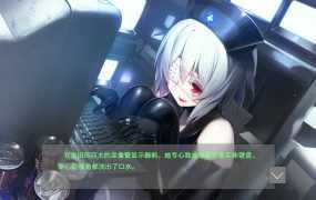 [大型ADV官中无码]凍京NECRO 冻京necro Tokyo Necro V1.01[电脑7.55G/FM/百度]