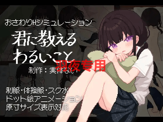 [SLG/新作/触摸/像素动画] 君に教えるわるいこと [500M/度盘]